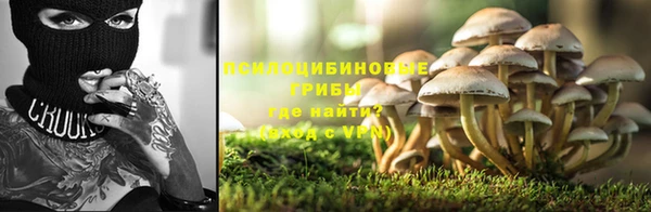 ешки Горняк