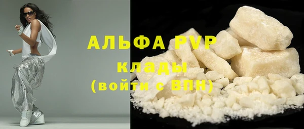 спиды Гусев