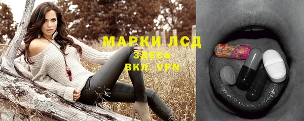 ешки Горняк