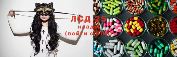 ешки Горняк