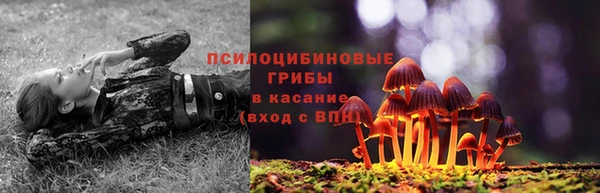 ALPHA-PVP Гусь-Хрустальный
