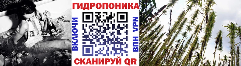 Бошки Шишки гибрид  Купить  Отрадный 
